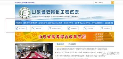 山东高考报名密码怎么重置？山东省教育招生考试院