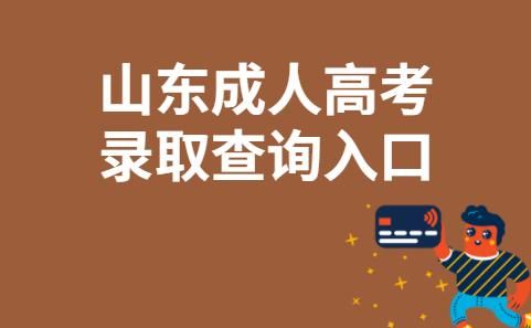 山东成考录取查询入口？山东省招生教育考试网