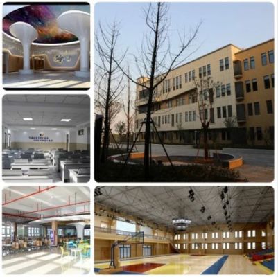 宁波纬赛尔学校怎么样？纬赛尔新教育招生
