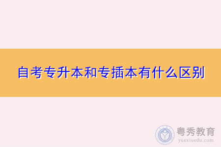 河南专插本怎么报名？继续教育招生办
