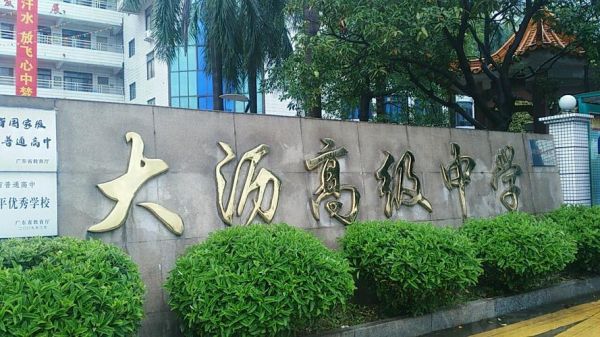 大沥高级中学是重点高中吗？大沥镇教育局招生