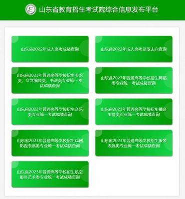 山东2023录取状态查询步骤？山东省教育招生考试院平台