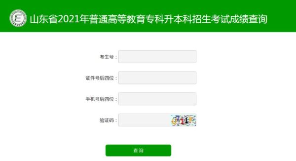 学考成绩查询的的网站是哪个？济南教育招生考试网