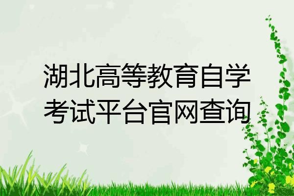 湖北省高等教育自学考试如何查询？湖北教育招生考试网