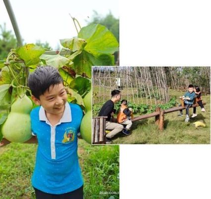 兰亭和绿色农场哪个好？自然教育农场招生