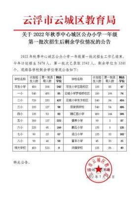 兴宁市教育局《2023年城区小学公办小学一年级招生规划方案》？教育行业招生方案