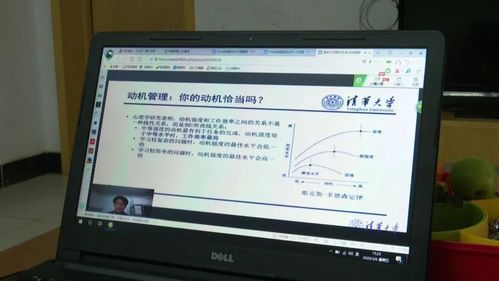 清华大学停课了吗？清华网络教育不招生