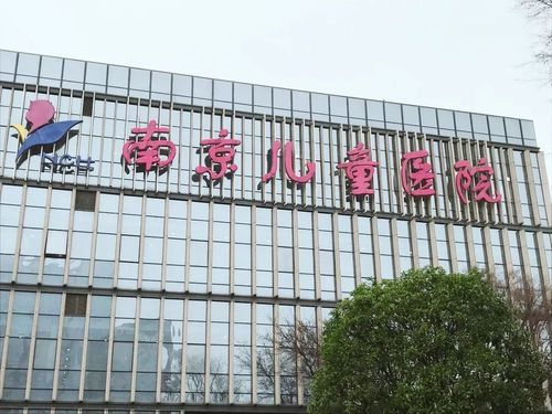 南京小行医院上班时间？南京小型教育招生收费