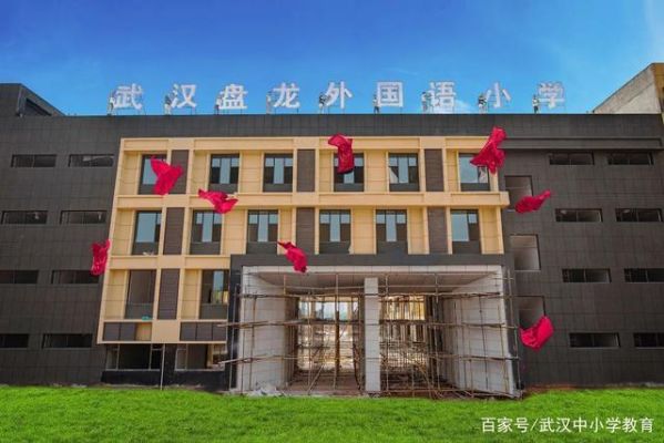武汉盘龙城小学学费多少钱？盘龙区小型教育招生收费