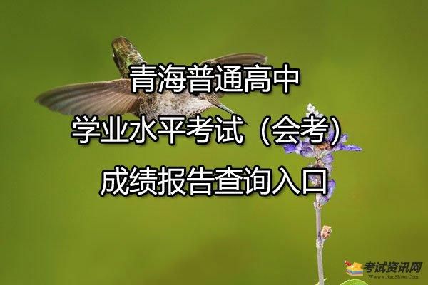学考成绩查询的的网站是哪个？青海教育招生考试信息