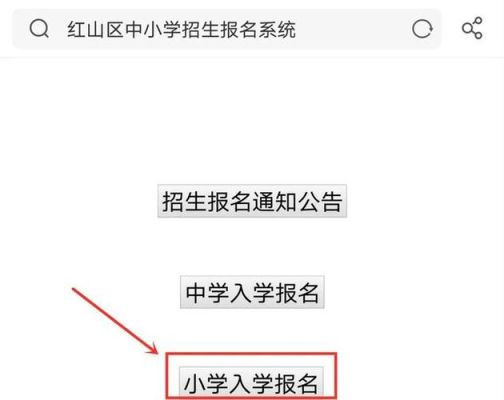 怎样查学生入学报名结果？怎么在教育平台查招生