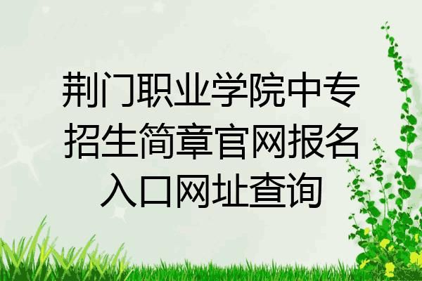 为什么安徽省中等职业学校网上招生录取平台无法访问？职业教育招生考试平台