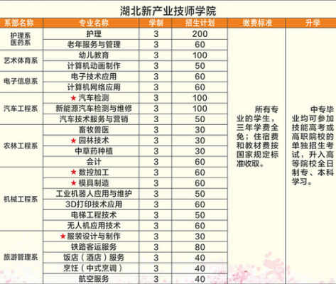 湖北3+2专本连读志愿怎么报？湖北教育培训代招生公司