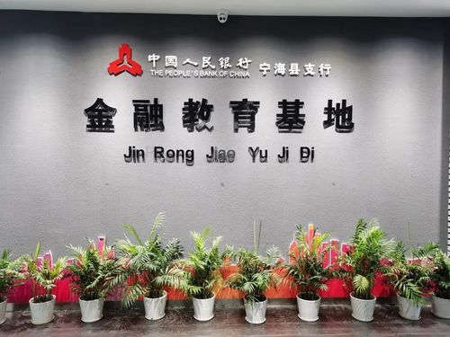 宁波金融服务公司是做什么的？宁波小型教育招生外包网