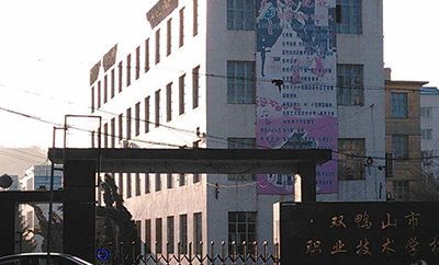 黑龙江能源职业学院双鸭山市学校概况？双鸭山学前教育专业招生