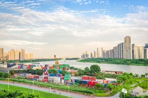 佛山附近的海运港口有哪些？禅城教育招生信息港