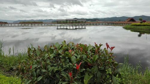 2023红河湿地要门票吗？红河成人教育招生对象