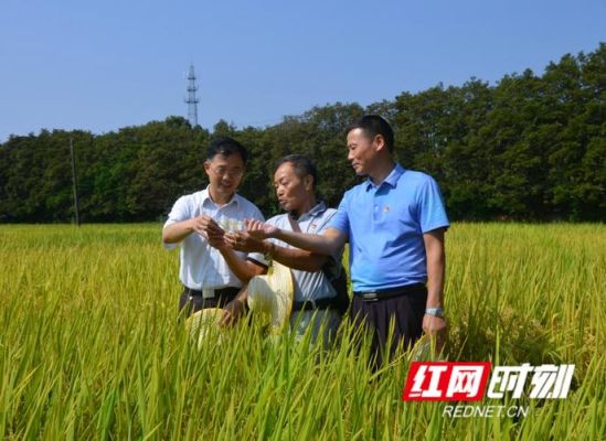 袁隆平求学历程？怀化弘毅教育培训学校招生