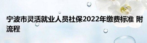 宁波2022灵活就业社保缴费流程？宁波2022义务教育招生