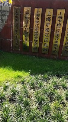 上海松江区中山中路有夜校吗？松江区成人教育招生