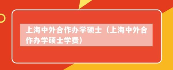 上海大学中外合作23年招生简章？上海是否还有教育机构招生