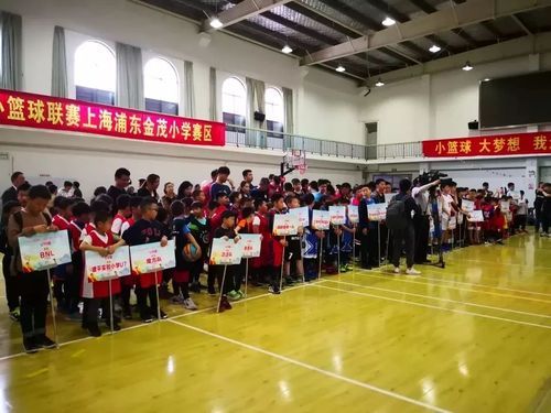 上海金茂小学属于哪个教育集团？浦东教育集团在哪里招生