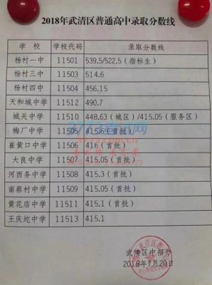 天津市杨村一中复读条件？武清杨村英语教育招生