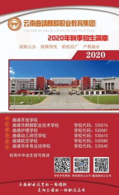曲靖职业学院智能网联汽车技术学什么？曲靖网络教育招生专业目录