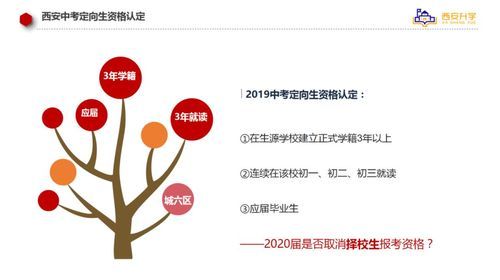 中考报定向生流程？中学教育培训怎么招生的