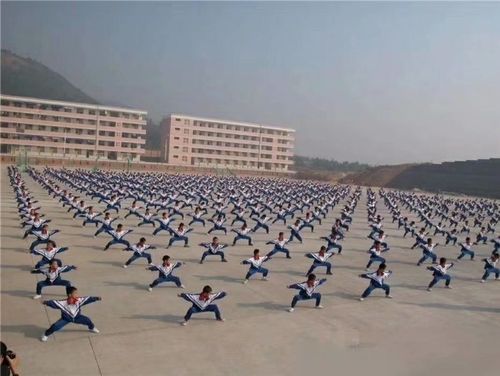 西山文武学校学费？西山区教育招生收费