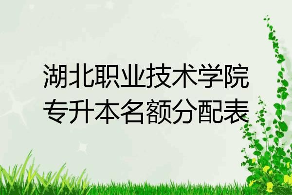 湖北职业技术学院能升本科吗？湖北职业教育本科招生规模