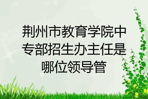 市教育局和市招生办的关系？教育局招生办作用