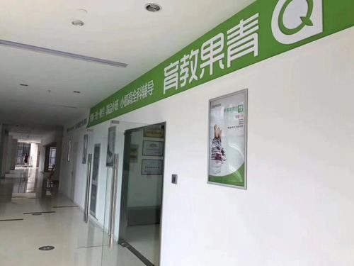 石家庄青芒教育怎么样？石家庄教育招生公司有哪些