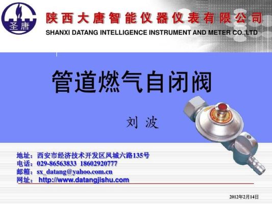 武汉燃气自闭阀是强制安装的吗？武汉自闭症教育招生学校