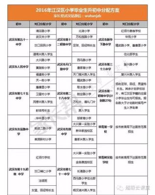 武汉盘龙城孩子幼升小被统筹了怎么办？盘龙城市义务教育招生