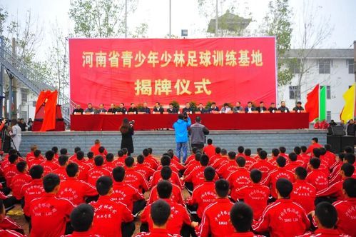 河南塔沟武校招生官网河南教育局招生通知网