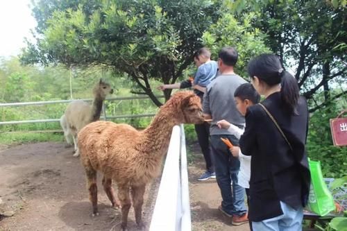 嵊州动物园门票多少？嵊州成人教育招生办