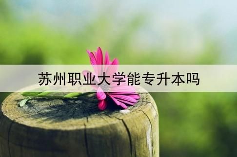 苏州市职业大学可以专转本吗？苏州法学网络教育招生简章
