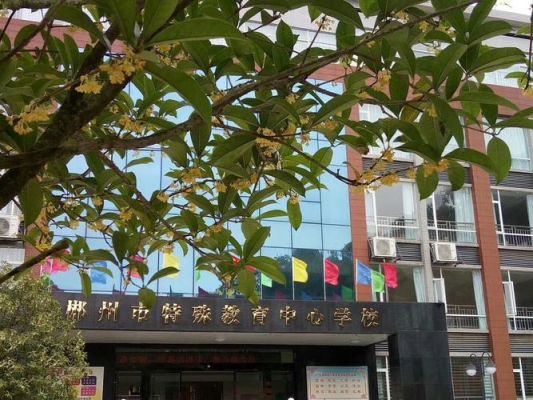 郴州市妇幼保健院生孩子怎么样？郴州教育招生考试院图片