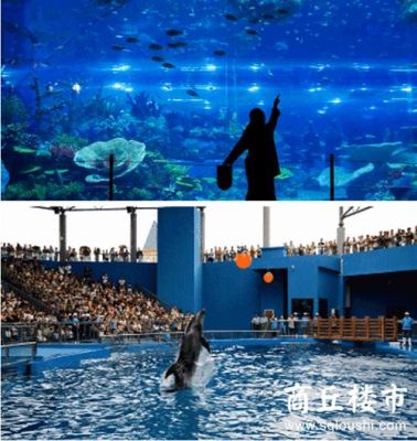 商丘海洋馆票价及项目？商丘成人教育招生网站