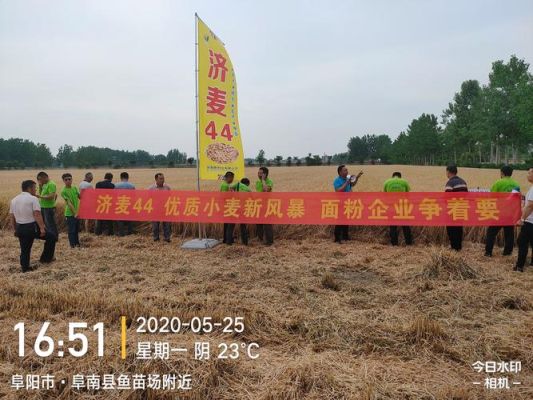 南宫小麦鲁原502播种多少斤一亩？南宫义务教育小学招生条件