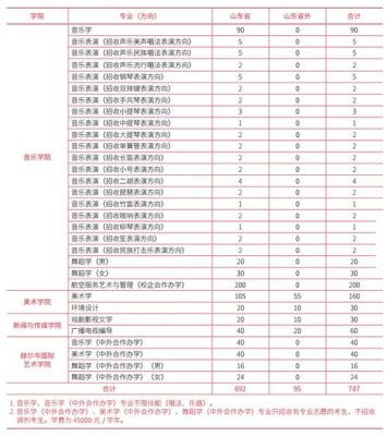 山东师范大学艺术类专业代码？山东省教育招生专业代码