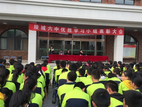 陵城六中公立还是私立？陵城区义务教育招生政策