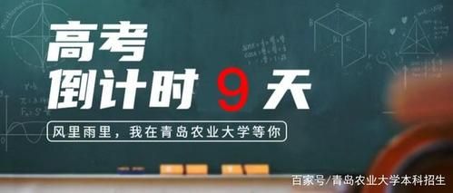 高考倒计时9天的文案？文化课教育暑假招生文案