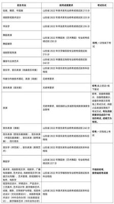 山东艺术学院2023年还有校考吗？山东艺术教育招生考试院