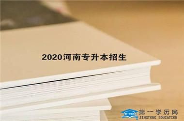大专小学教育专业好升本吗？河南专升本教育学招生比例
