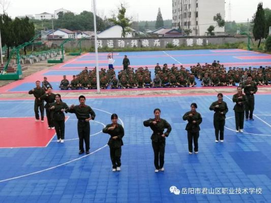 岳阳五年制大专有哪些学校？岳阳素质教育学校招生