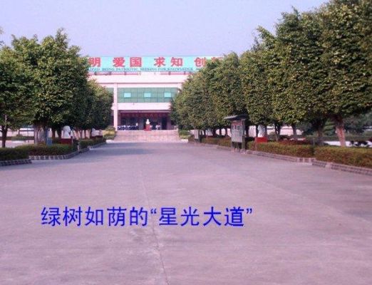 大朗启东学校怎么样？启东有几家教育机构招生