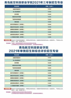 青岛航空科技职业学院多大？泛美教育招生简章官网