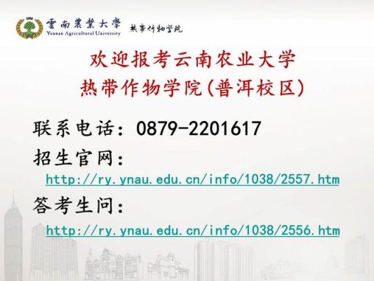云南理科470能上普洱学院吗？普洱网络教育招生指南官网